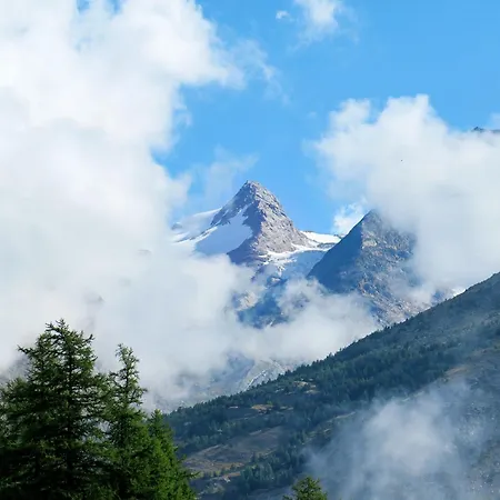 Appartamento Bergfink Appartement-fewo 4-bettwohnung Nr- 5 By Interhome Saas-Fee